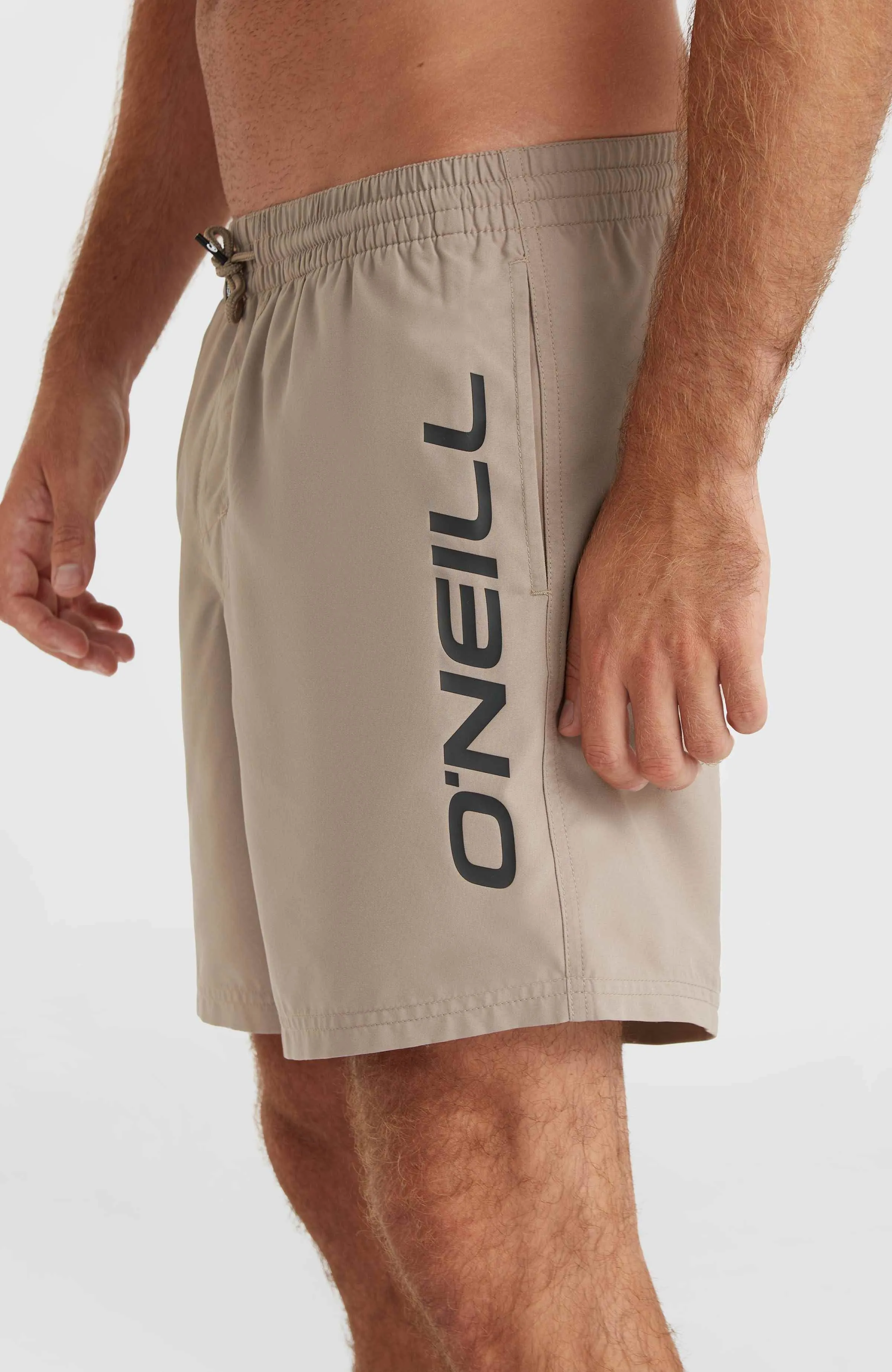 Cali 16'' Swim Shorts | Pumpkin Smoke