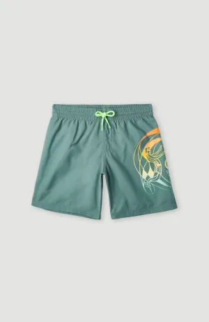 Circle Surfer 14\" Swim Shorts | North Atlantic Circle Surfer Gradient"