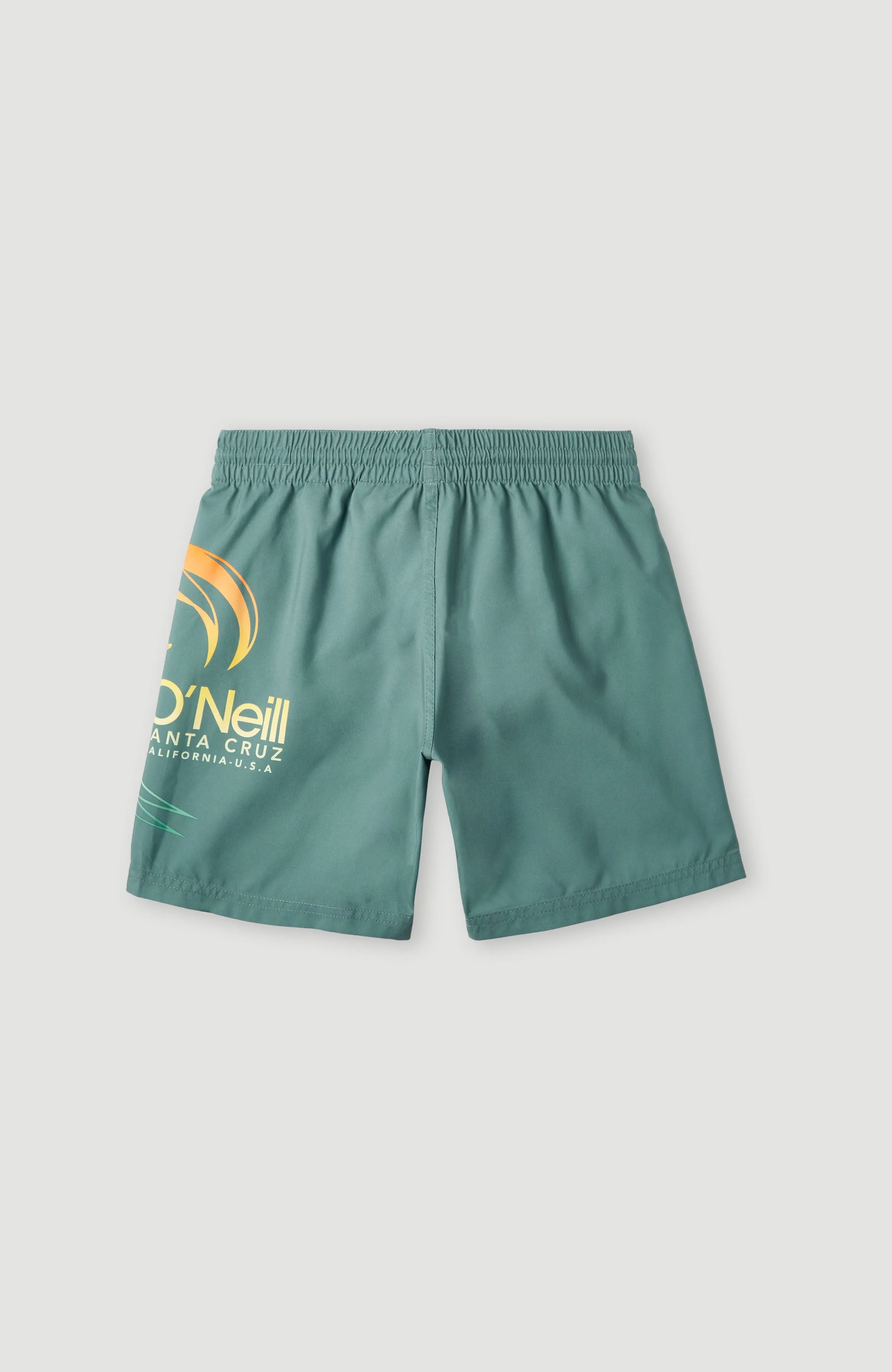 Circle Surfer 14\" Swim Shorts | North Atlantic Circle Surfer Gradient"