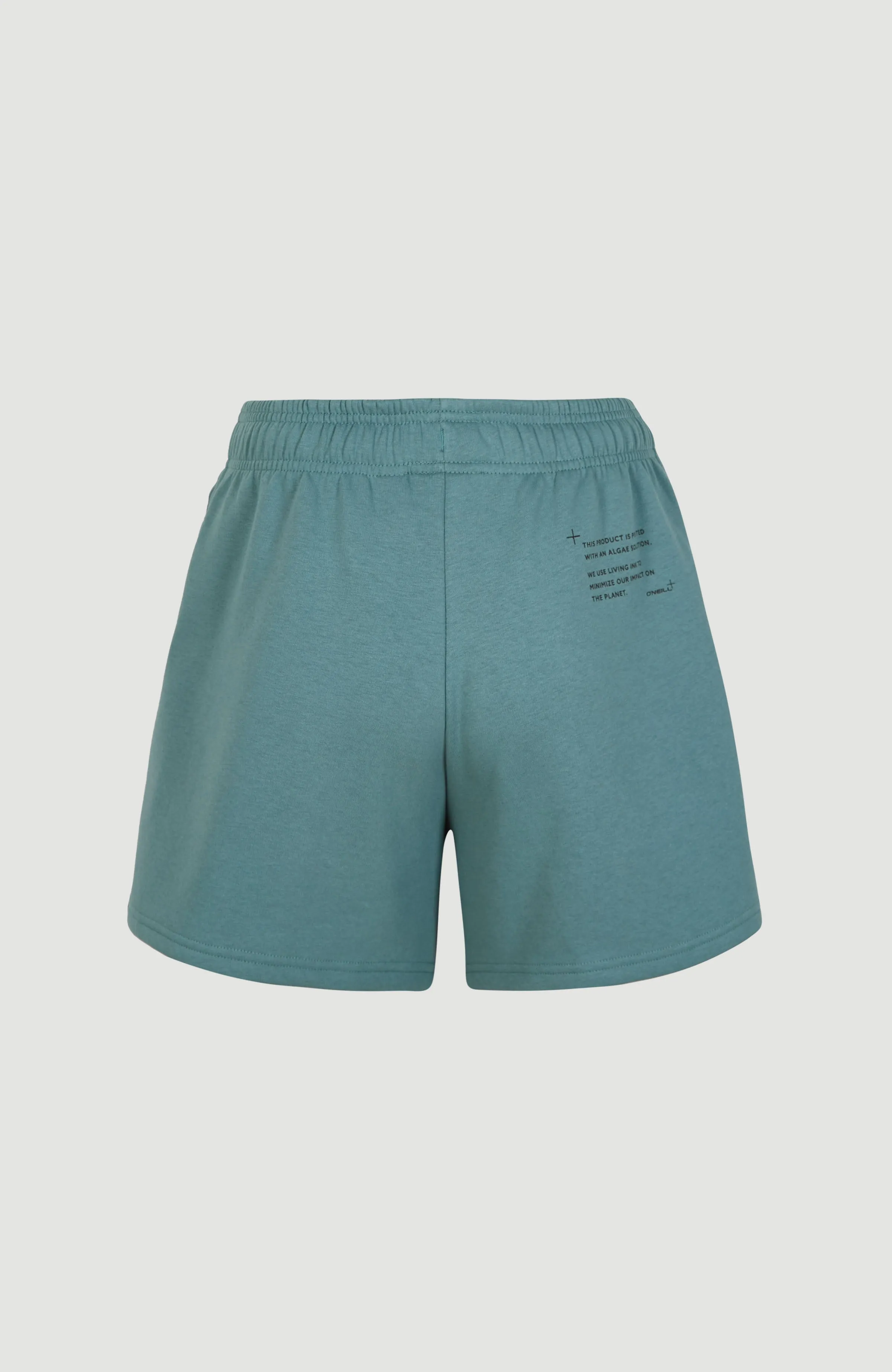 Future Surf Jogger Shorts | North Atlantic