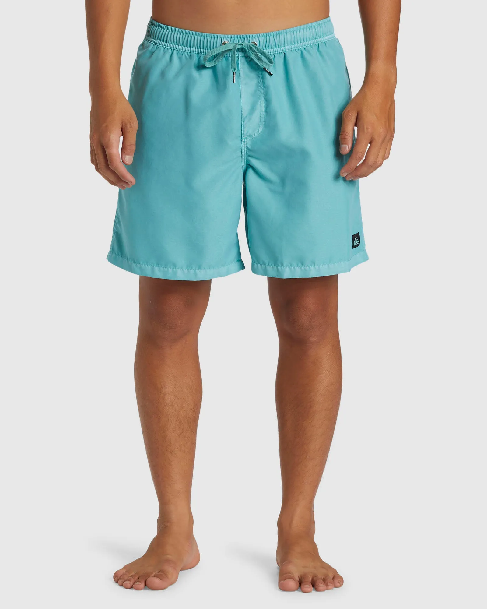 Mens Everyday Surfwash Volley 17" Swim Shorts