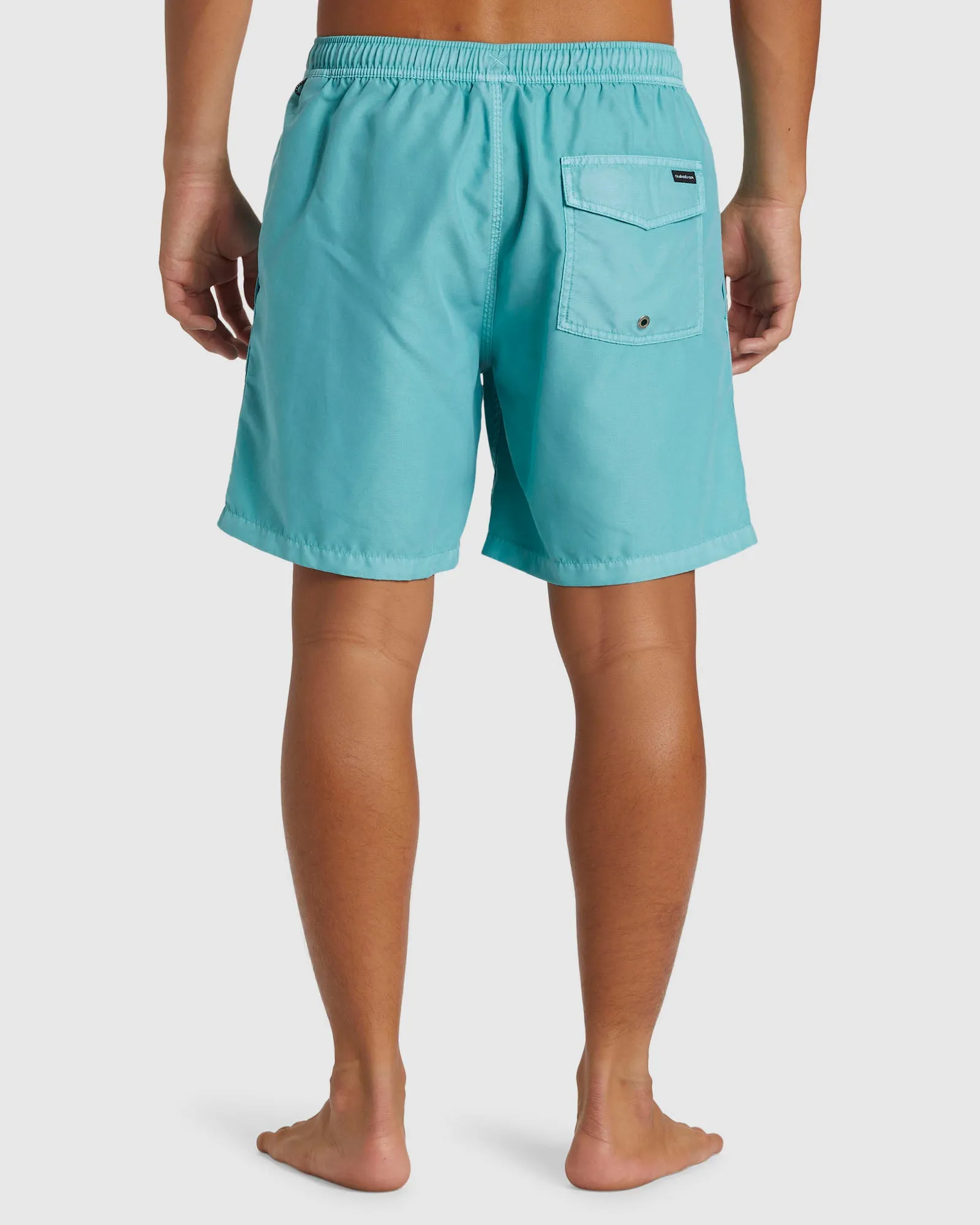 Mens Everyday Surfwash Volley 17" Swim Shorts