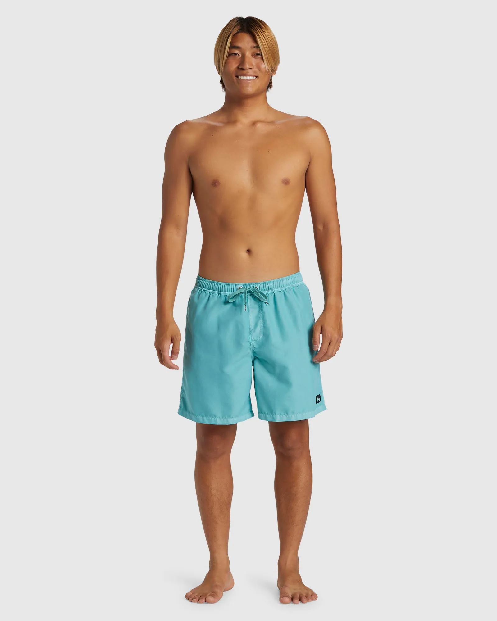 Mens Everyday Surfwash Volley 17" Swim Shorts