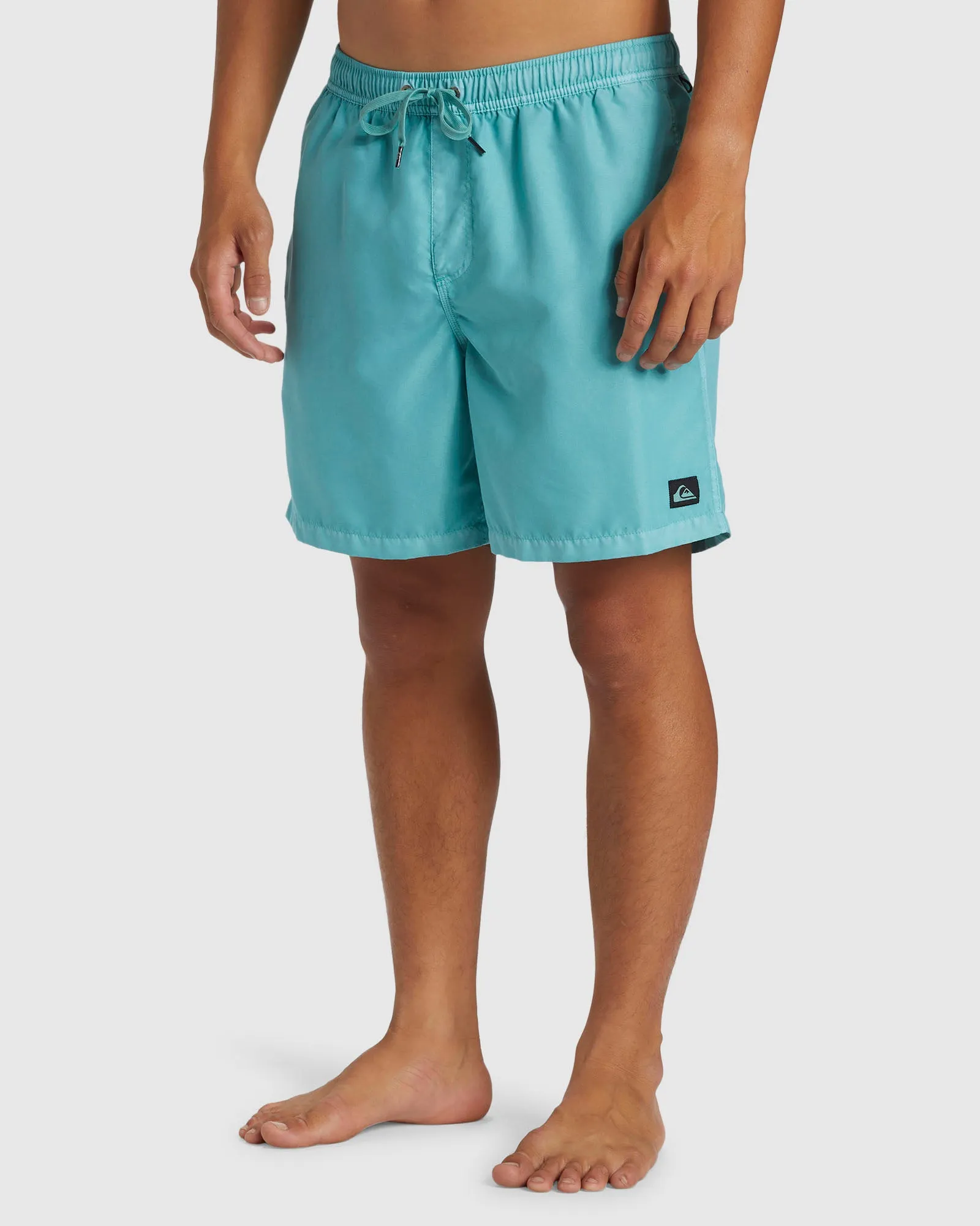 Mens Everyday Surfwash Volley 17" Swim Shorts